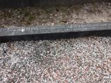 image of grave number 827536